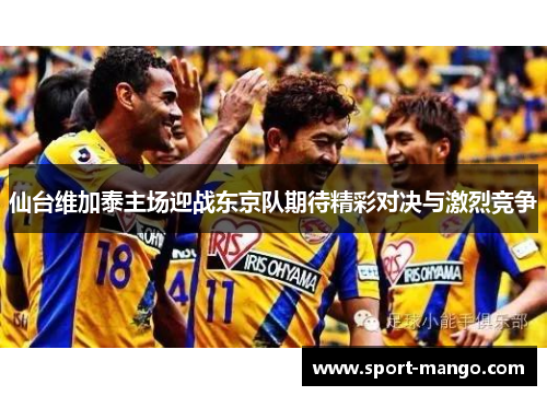 仙台维加泰主场迎战东京队期待精彩对决与激烈竞争